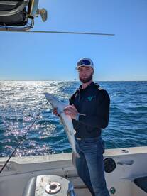 Sharks, spear fishing and fun.