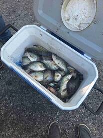 Great day on the water with Capt. Terri