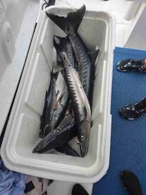 ABSOLUTELY PERFECT DAY IN THE RAIN!