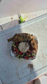 nice day with a nice team