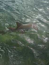 Best time with Captain Joey!!!