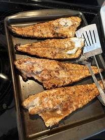 If you want to catch fish, Spot On Charter is the place to be!