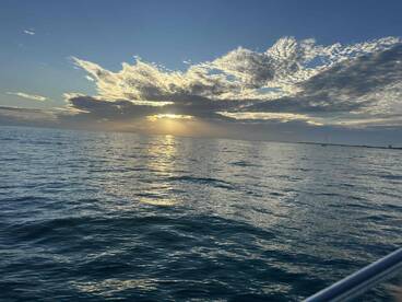 amazing charter and captain