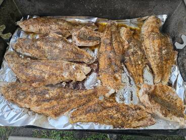 Great fishing trip with our family. 