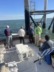 Half day with Captain Ben