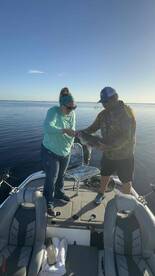 Incredible Experience