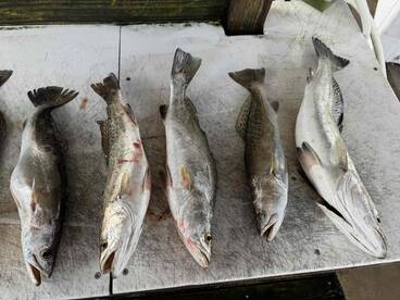 best fishing trip ever 