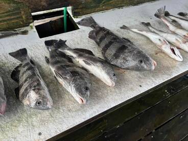 best fishing trip ever 