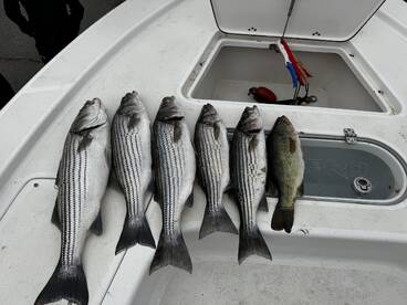 Great fishing experience! 