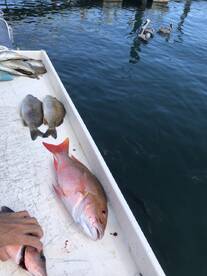 Lovely day on the ocean