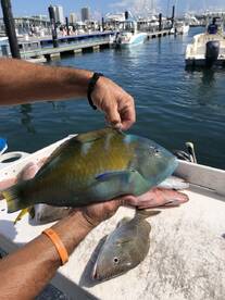 Lovely day on the ocean