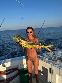 10/10 Experience from Booking to pick up to drop off