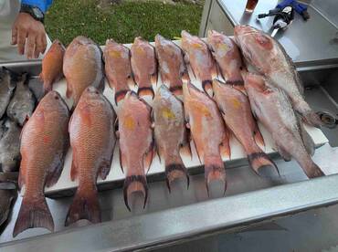 My Son's Annual Fishing Trip