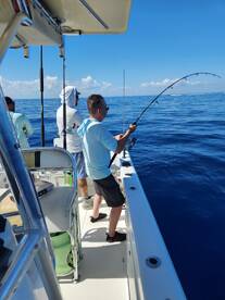 Excellent highly recommend 