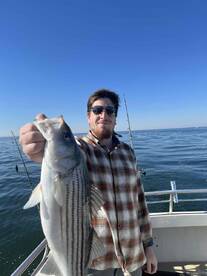 brillance on the bay