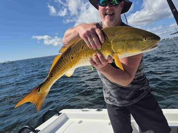 Would definitely do again 