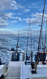Diversión en el arrecife
