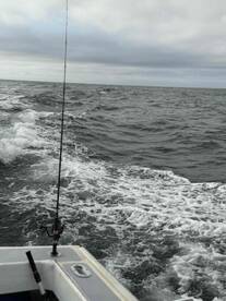 great captain and great trip, will recommend!