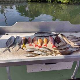 Dominic is the best.