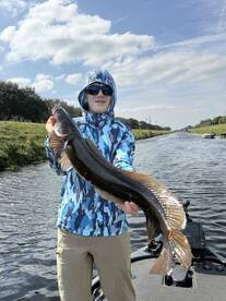 Awesome day - 5 species!