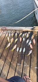 Fishing with Gregory