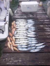 Excellent experience definitely recommend