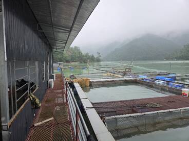 November fishing trip