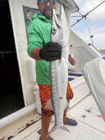 A Day in Aruba on the Sea