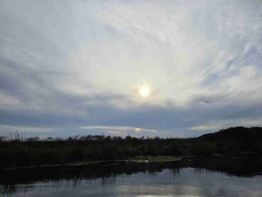 ⭐️⭐️⭐️⭐️⭐️ Delta Bass and Striper Fishing. An Unforgettable Experience. Tight lines and good times.