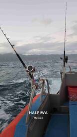 Matt is a great captain!