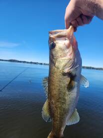 Captain Blake's Last Cast Should Be Your First Choice