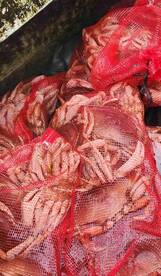 Fishing with Johnathan