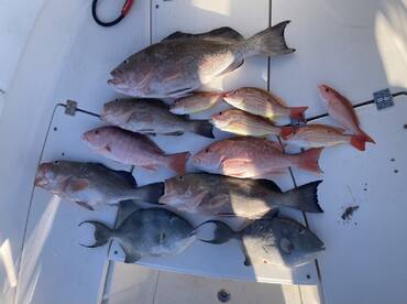 Liked It So Much - Did It Again