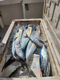 November fishing trip