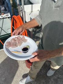 Unforgettable Experience