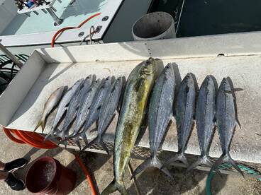 Unforgettable Experience