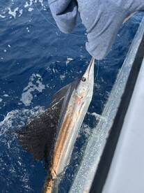 Unforgettable Experience