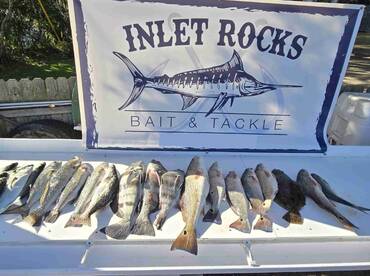 Great day out fishing!