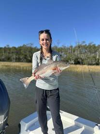 Best guide out there