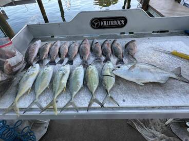 Get ready for an incredible experience