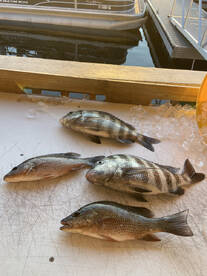 Looking to river fish? Capt. John is your man!