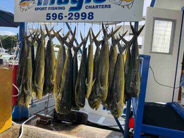 Great fishing, better crew!