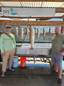Bull Reds and Limit Trout