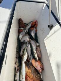 Above & Beyond Expectations