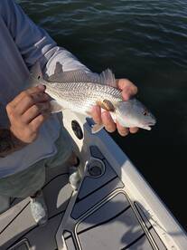 Great time on a beautiful day