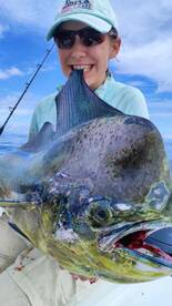 Mahi Mahi and Humpback Whales