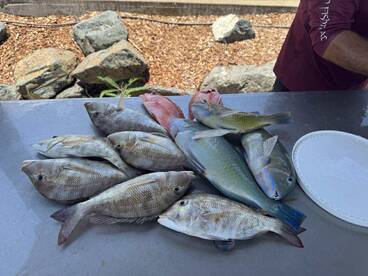 November fishing trip