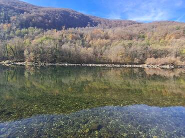 Danube salmon (Hucho hucho) fishing trip
