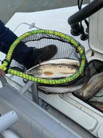 First charter great trip