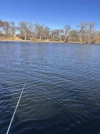 exceptional expierence 